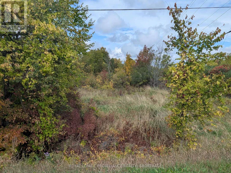 LOT-34 Leo Lake Road, Kingston, ON, K0H 2N0 - 9