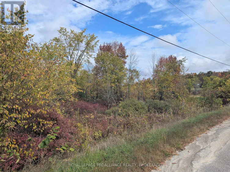 LOT-34 Leo Lake Road, Kingston, ON, K0H 2N0 - 20