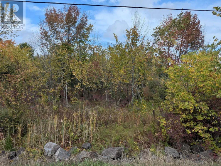 LOT-34 Leo Lake Road, Kingston, ON, K0H 2N0 - 11