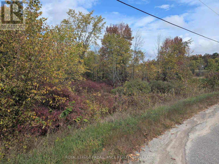 LOT-34 Leo Lake Road, Kingston, ON, K0H 2N0 - 19