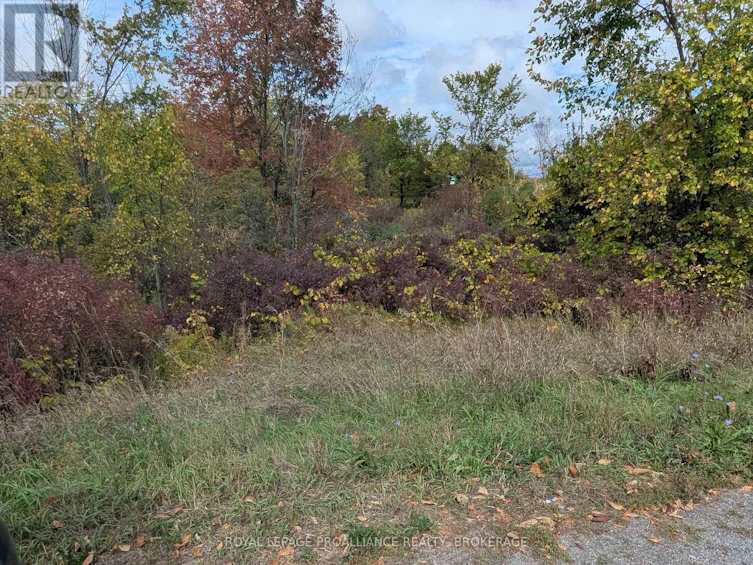 LOT-34 Leo Lake Road, Kingston, ON, K0H 2N0 - 8
