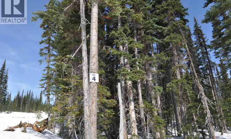 PT. ST-4 Alpine Way