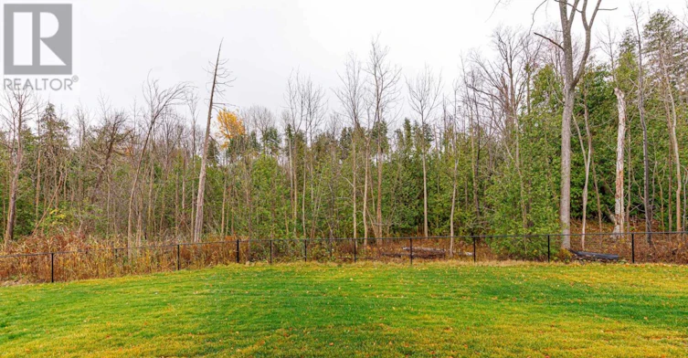 82 Goldie Court, Blue Mountains, ON, N0H 1J0 - 43