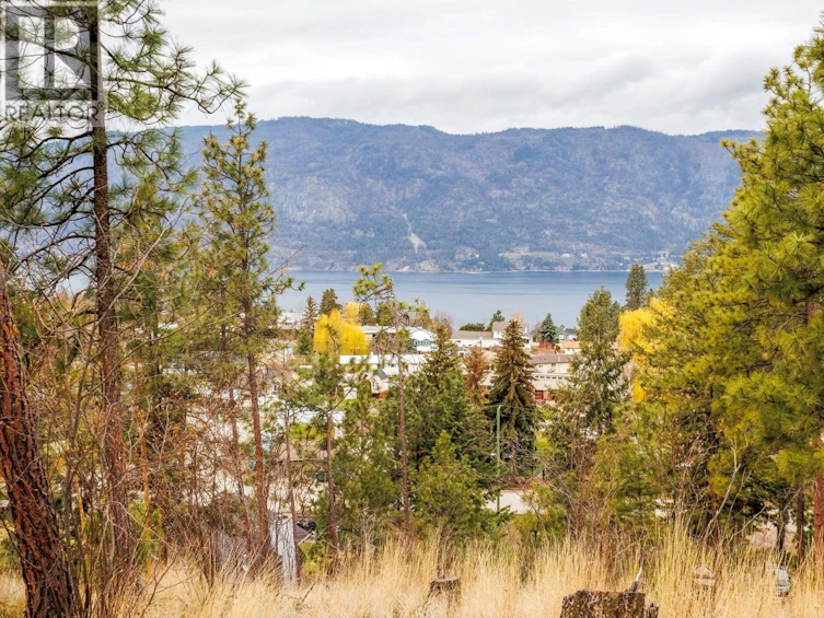 11011 Hallam Drive, Lake Country, BC, V4V 1P2 - 47