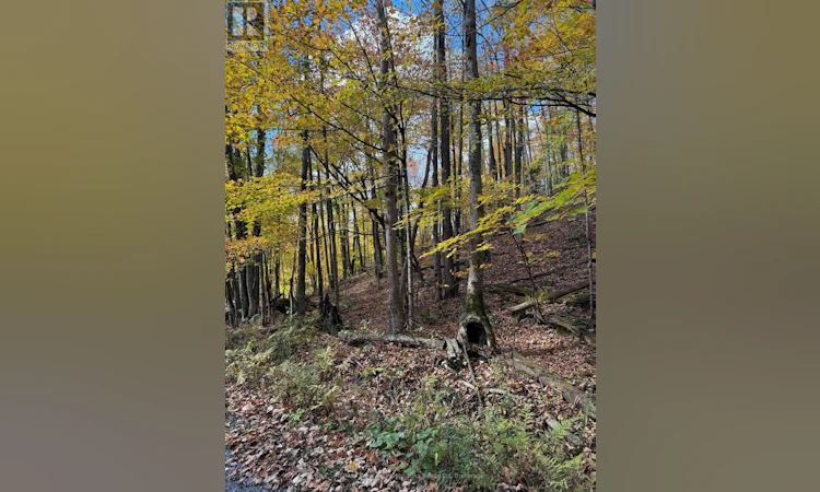 353C Balsam Creek Road