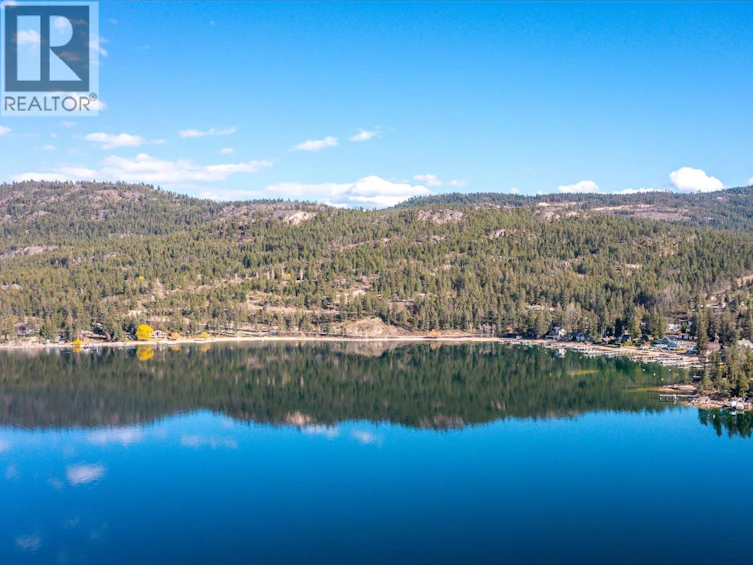 9707 Delcliffe Road, Vernon, BC, V1H 1K9 - 46