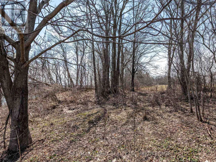 2539 Isle Of Man Road, Kingston, ON, K7L 4V3 - 15