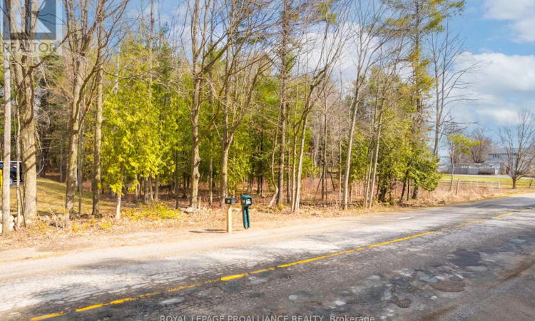 00 Whites Road