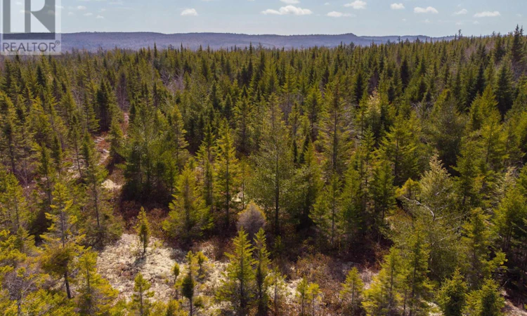 Lot-4 The Grant Preserve