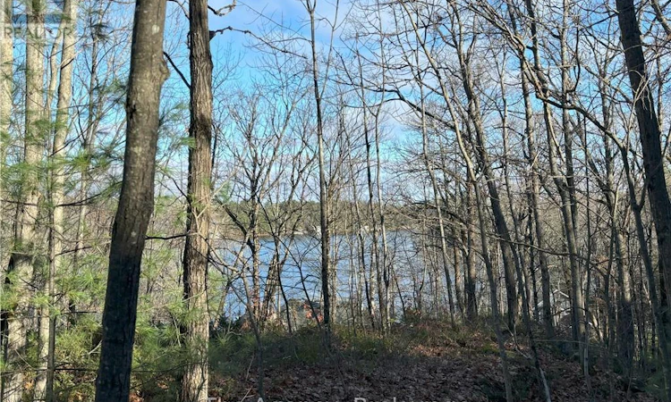 1766 Muskoka 169 Road Road
