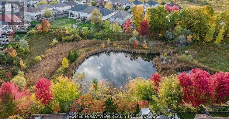 LOWER-644 Mcbean Avenue, Newmarket, ON, L3X 2J5 - 11