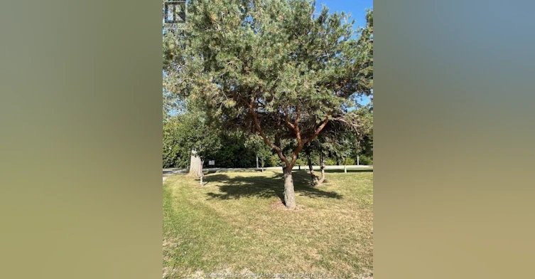 394 Robson Road, Leamington, ON, N8H 0A6 - 28