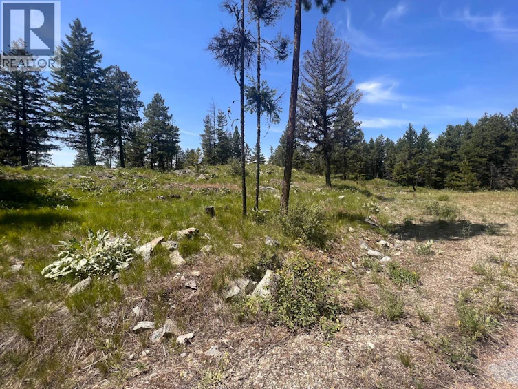 125 Sasquatch Trail, Osoyoos, BC, V0H 1V6 - 2