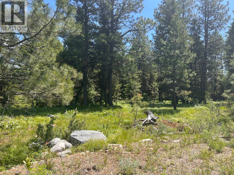 125 Sasquatch Trail, Osoyoos, BC, V0H 1V6 - 10