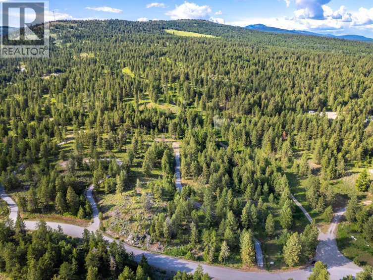 125 Sasquatch Trail, Osoyoos, BC, V0H 1V6 - 30