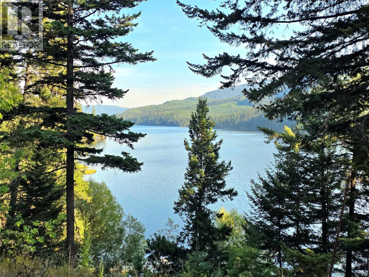 6453 Pinaus Lake Road, Falkland, BC, V0E 1W0 - 26