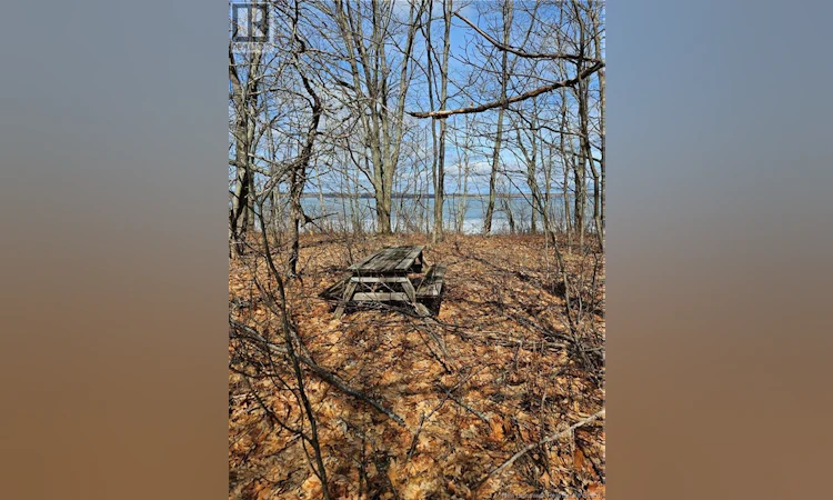 Lot Cox Point Road