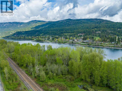 1601 Arrow Lakes Drive - 3