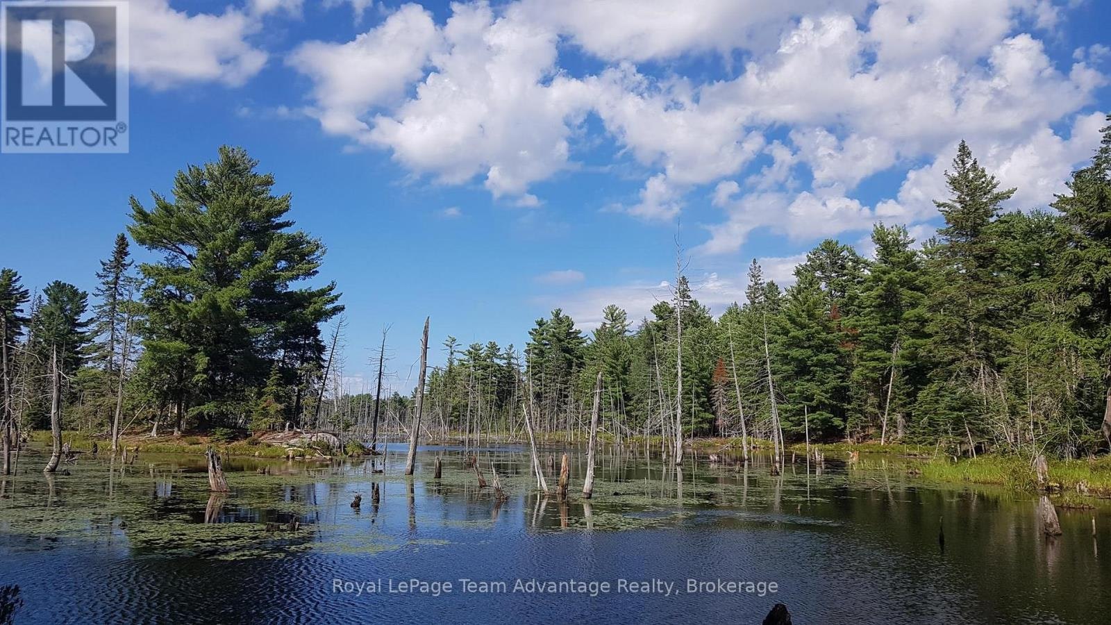 0 Unopened Allowance Road Road, McKellar, ON, P2A 2W7