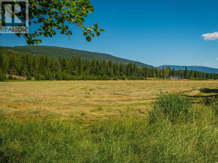 2335 Pass Creek Road, Castlegar, BC, V1N 4T4 - 98