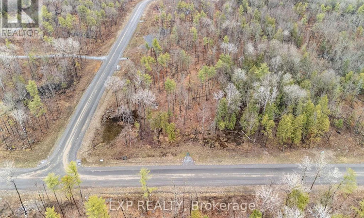 00 Black Spruce Court