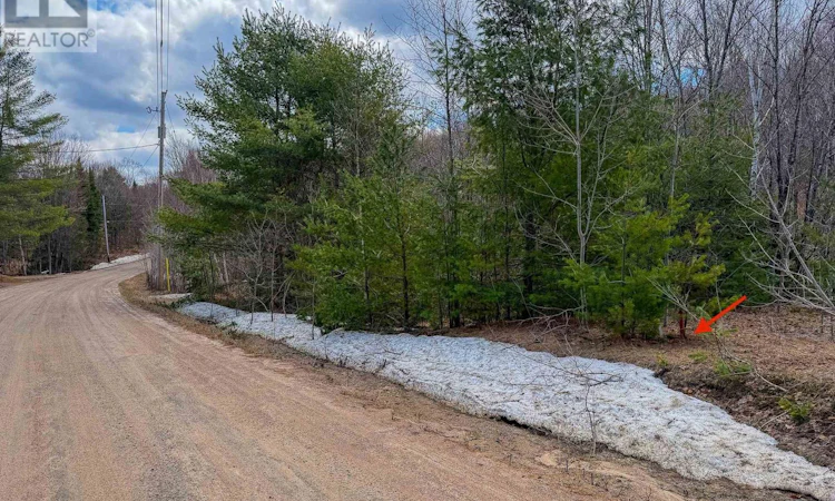 1249 Black River Road