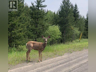 LOT 2-5916 Little Fort 24 Highway - 2