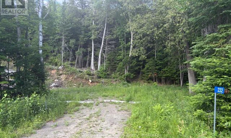 232 Clarke Road