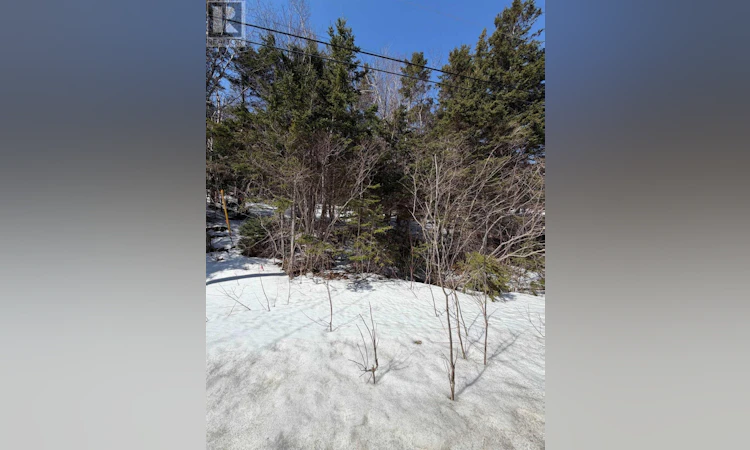 Lot-19 Scotsville Road