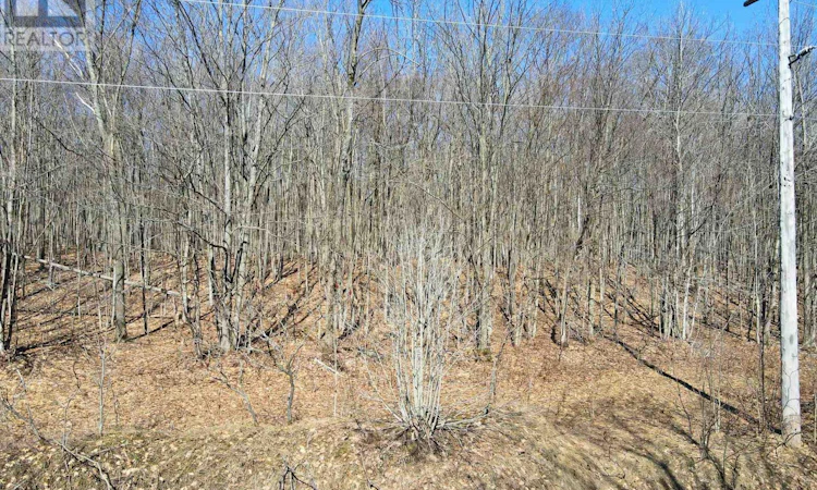 LOT-33 Macavalley Road