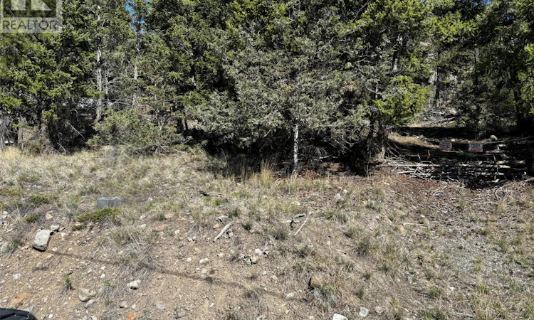 2971 Loon Lake Road
