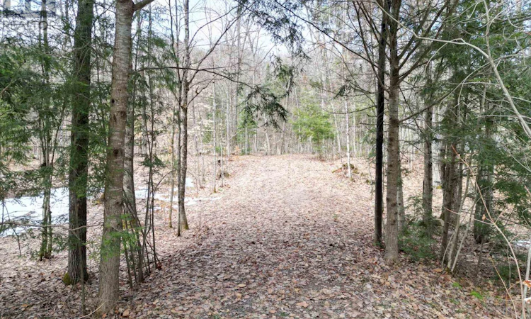 1231 Big Hawk Lake Road