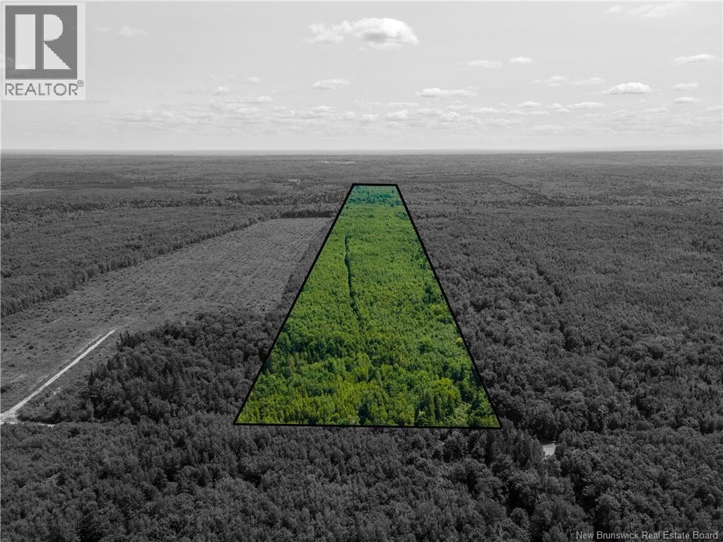 Lot-53 Alexandrina Road, Notre-Dame, NB, E4H 2H5