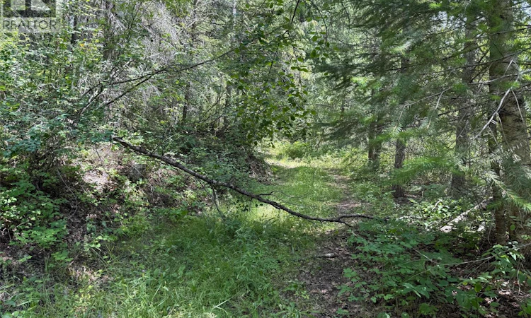 4069 East Barriere Lake Road