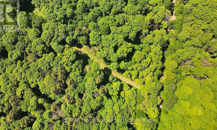 LOT-166 Glen Lake Court