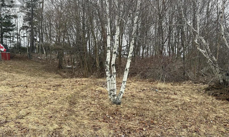 Lot 1-511 Birch Street