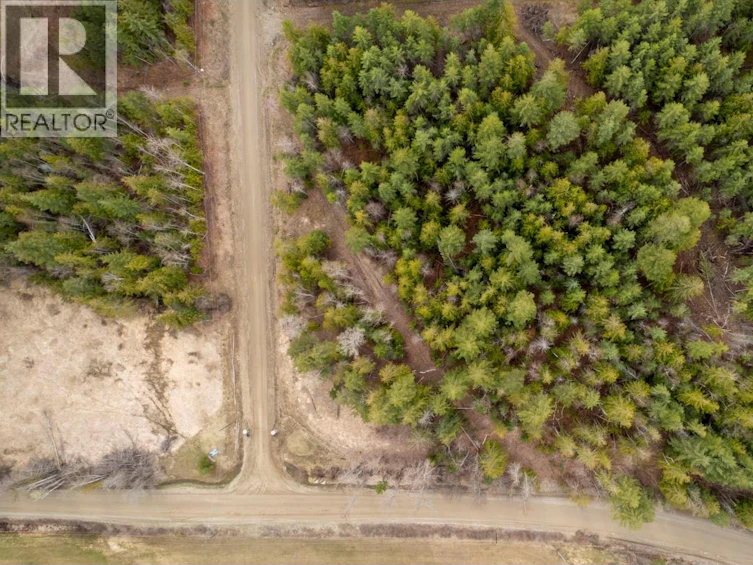 Lot-1 Lions Ridge Road, Celista, BC, V1Y 5J4 - 8