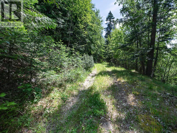 13635 3a Highway, Boswell, BC, V0B 1A4 - 10