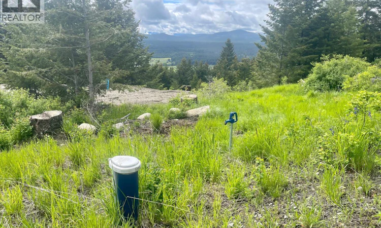 1355 Timberwolf Trail