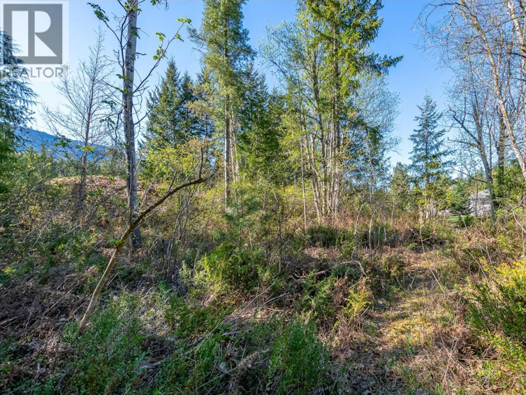 Lot-2 Bloomquist Road, Malakwa, BC, V0E 2J0 - 28