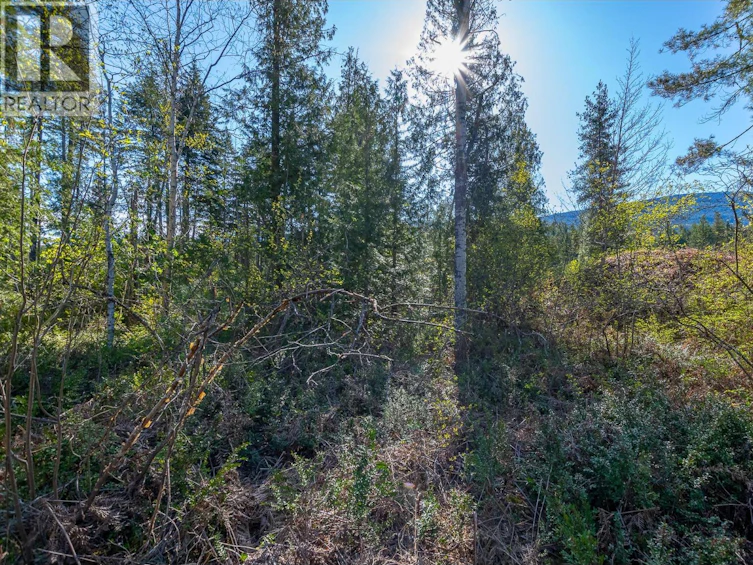 Lot-2 Bloomquist Road, Malakwa, BC, V0E 2J0 - 27
