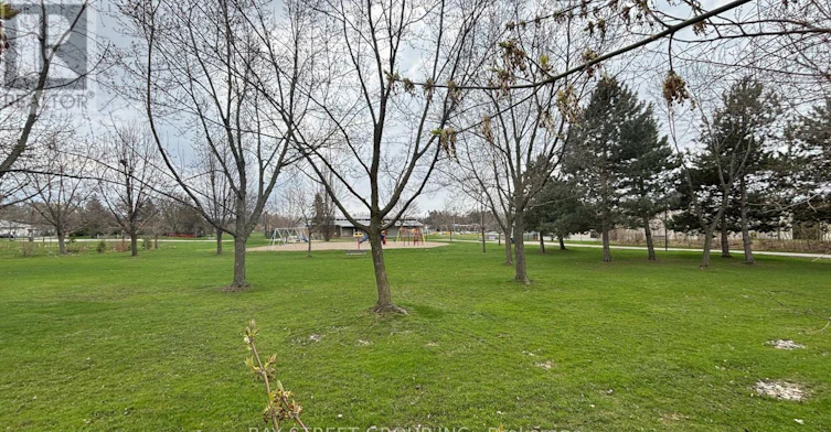 LOWER 1-1242 Mcbride Avenue, Mississauga, ON, L5C 1M8 - 10