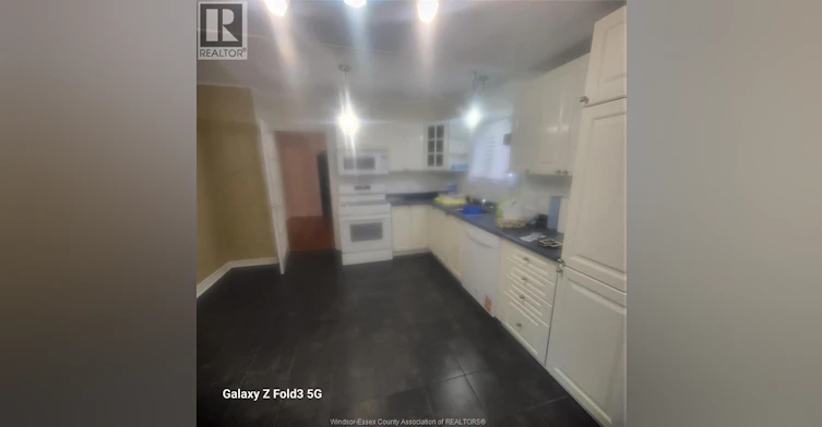 BACK-2024 Ottawa Street, Windsor, ON, N8Y 1R7 - 5