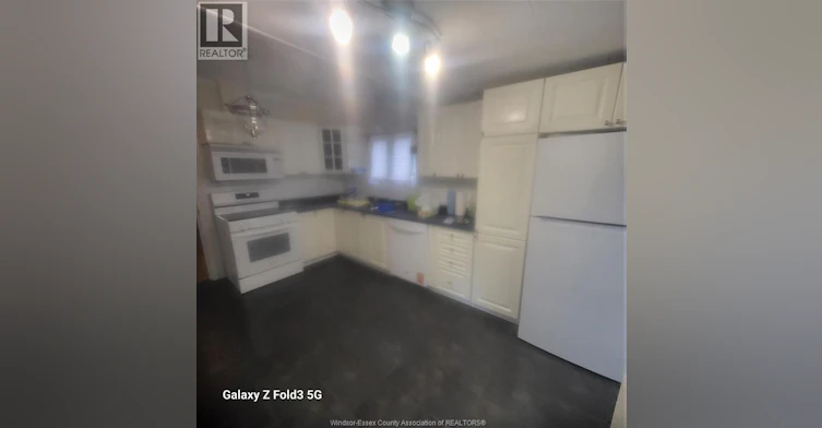 BACK-2024 Ottawa Street, Windsor, ON, N8Y 1R7 - 4