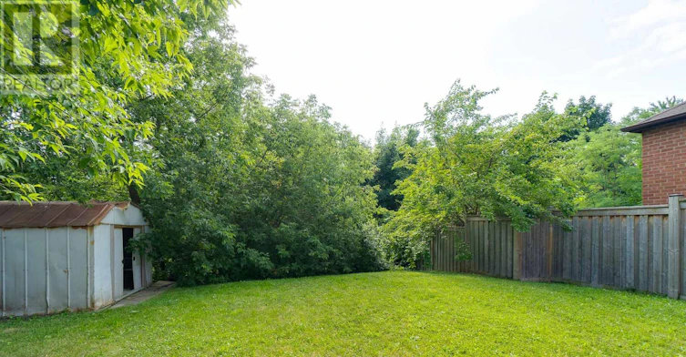 LOWER-45 Mayall Avenue, Toronto, ON, M3L 1E7 - 41