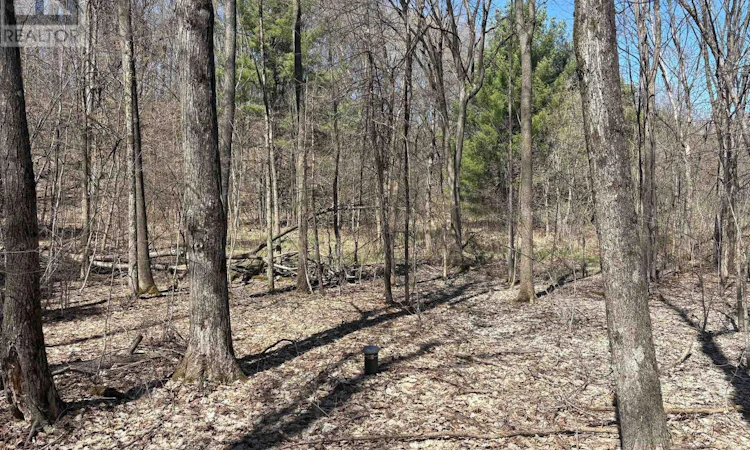 LOT-2 Sweetfern Lane