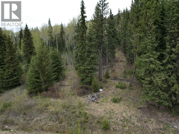 LOT-24 Cottage Lane, Bridge Lake, BC, V0K 1E0 - 3