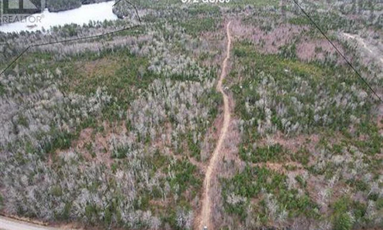 Baillie Lake Road