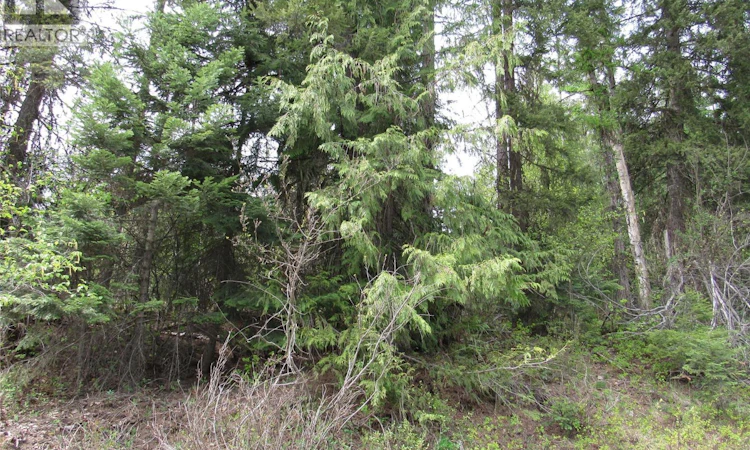 Lot-11 Nelson Rural 08182 128
