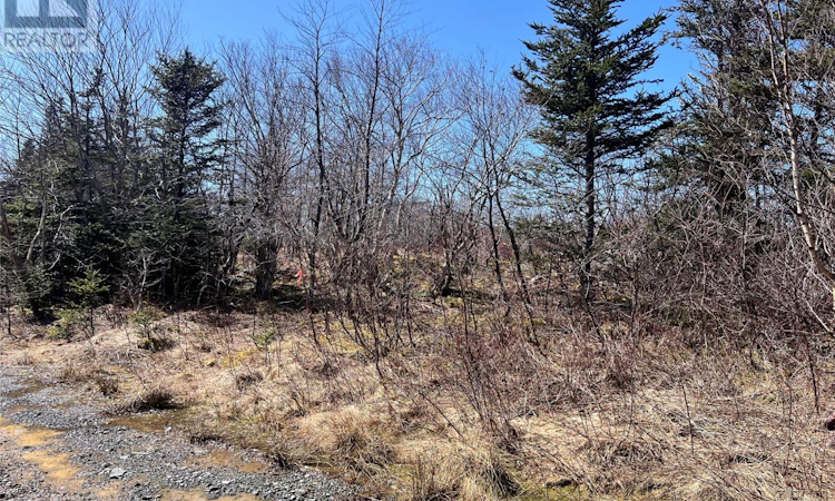 Lot-13 Whiskey Hill